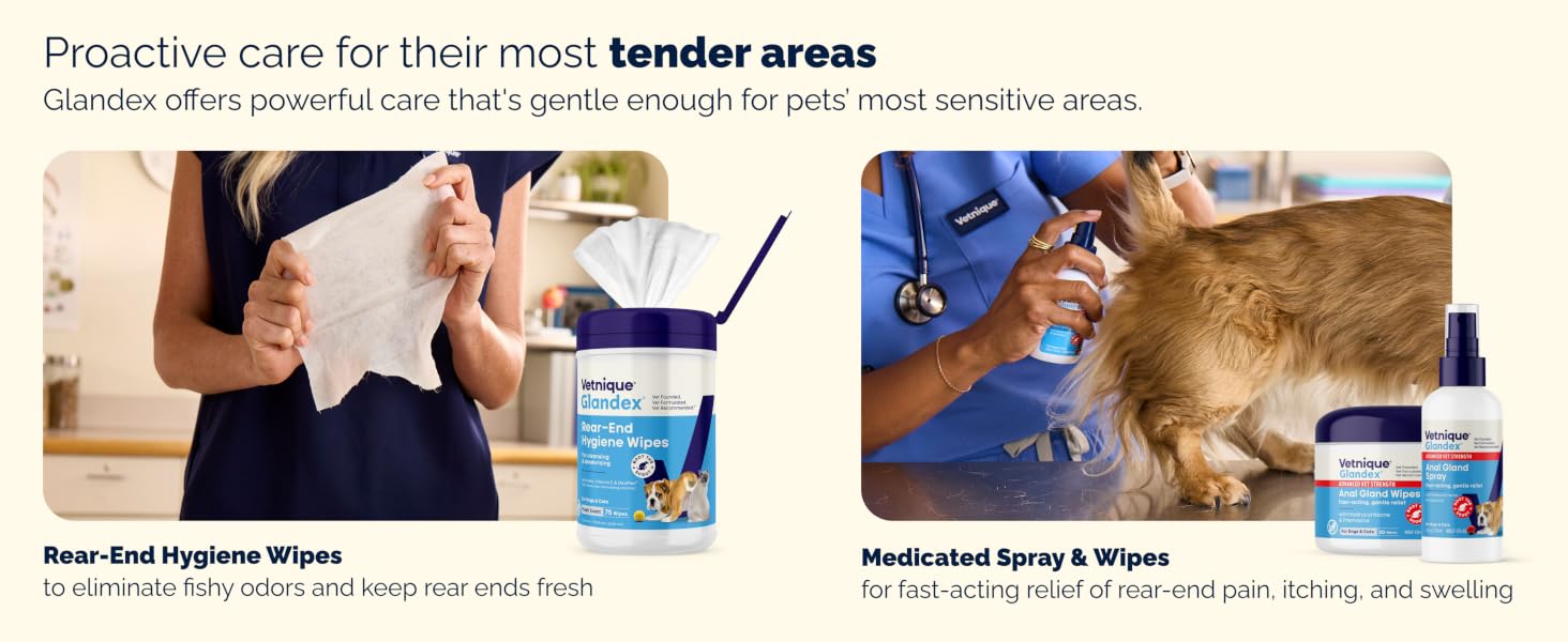 3179e709-8a41-4416-bdd6-ecdada3bd478