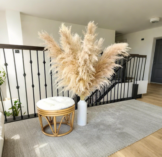 Flores secas de Pampas Grass - decoración Natural esponjopara bodas, casa, granja, eventos rústicos, arreglos estacionales y centros de centro