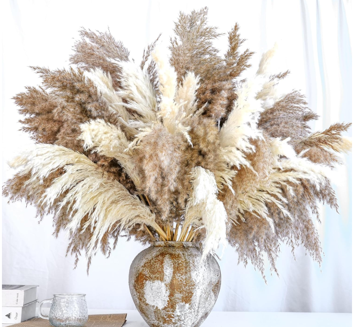 Alto Pampas Grass - Boho seco Natural para el hogar, boda, arreglos rústicos, centros de centro y decorde temporada
