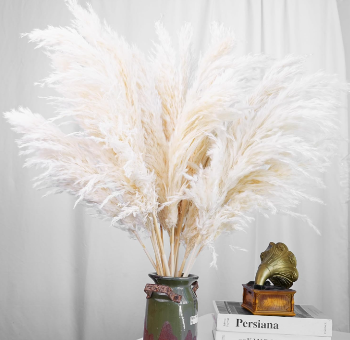 Alto Pampas Grass - Boho seco Natural para el hogar, boda, arreglos rústicos, centros de centro y decorde temporada