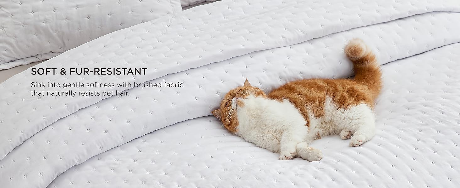 Quilts Queen Size - Bright White Bedspread Queen Size & Lightweight Comforter, Modern Coverlet with Clover Pattern, Ultra Soft All-Season Bedding, 90 x 96 Inches | Stitch-Free Quilting, Lightweight, Summer Bedding Set, Machine Washable, Pet-Friend